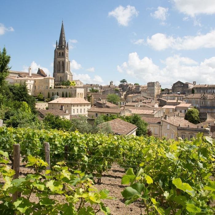Everything You Need to Know About Bordeaux